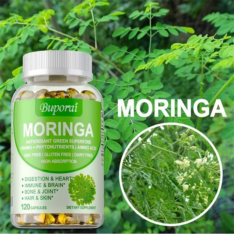 Moringa Leaf Powder - Moringa Capsules - Support Immune System,