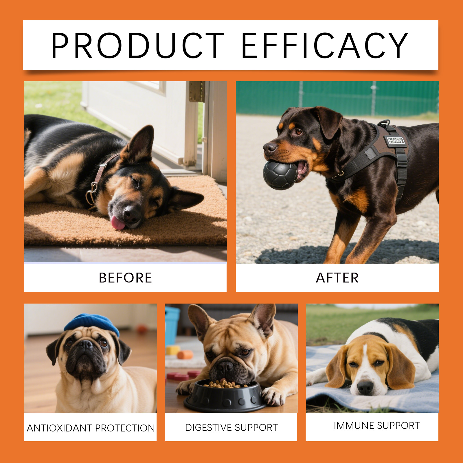 Dog Herbal Drops - Irresistibl - đánh giá và giá Herbal Holistic Wellness