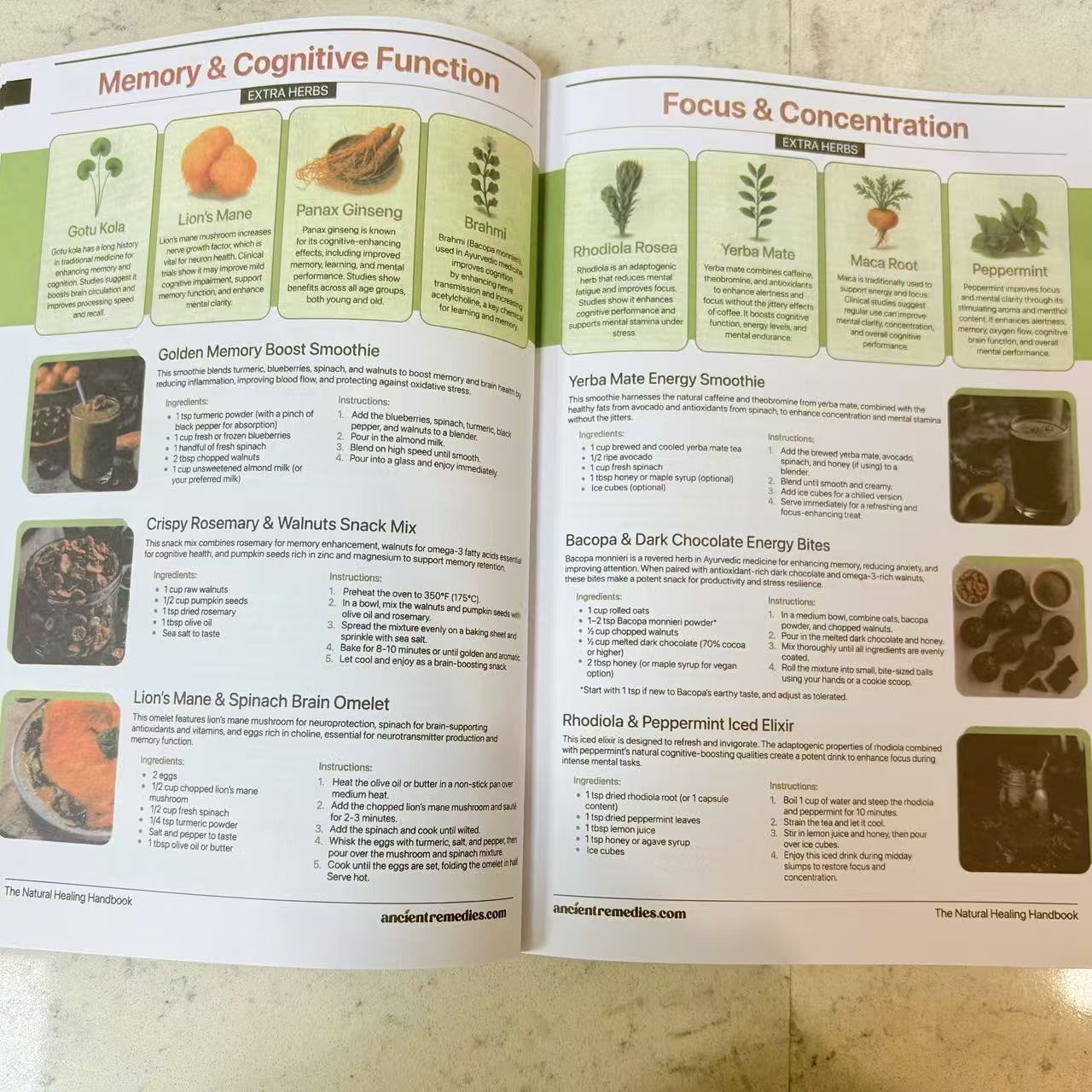 The Natural Healing Handbook,  - đánh giá và giá Herbal Holistic Wellness