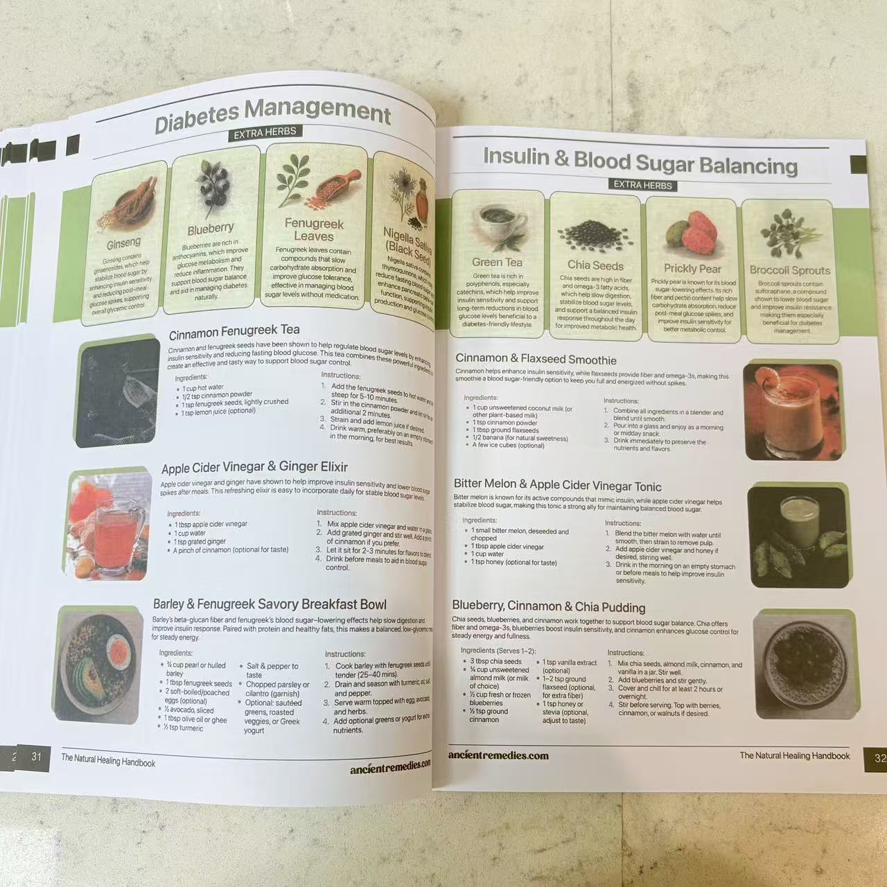 The Natural Healing Handbook,  - đánh giá và giá Herbal Holistic Wellness