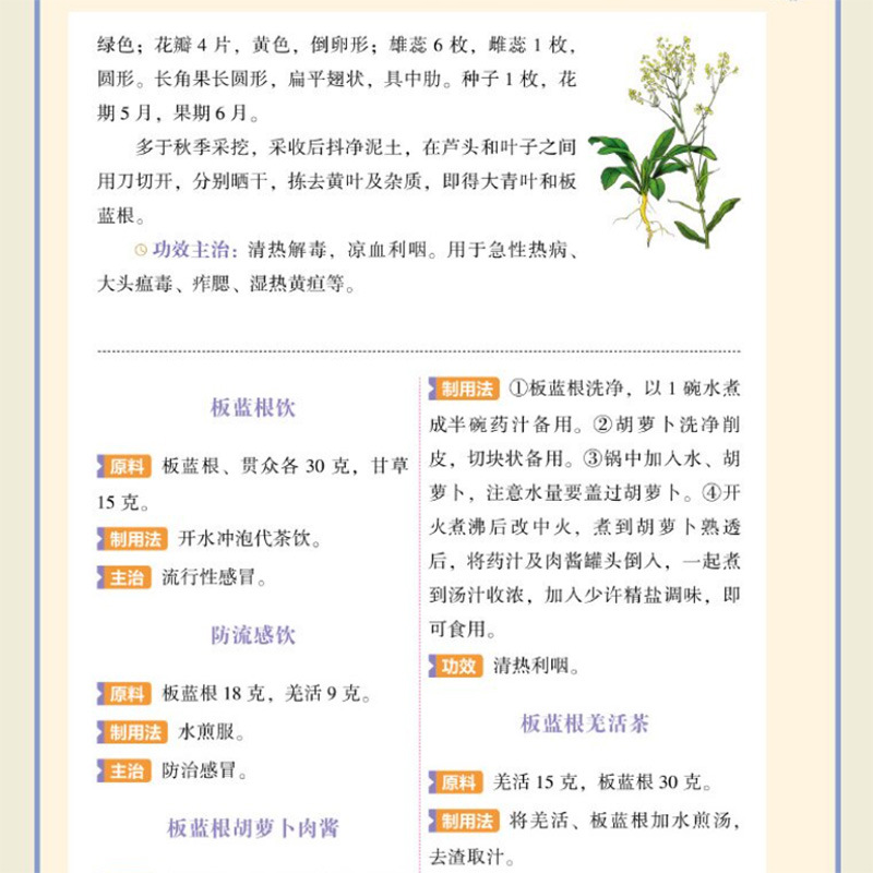 Single Herb TCM Nourishment Qu - đánh giá và giá Herbal Holistic Wellness