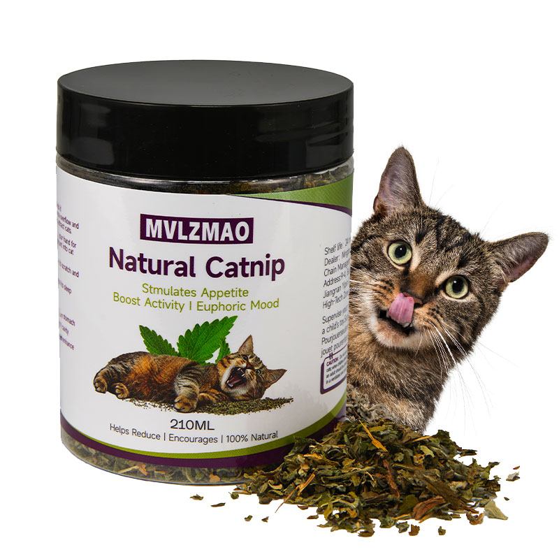 Cat Toys - Silvervine Catnip f - đánh giá và giá Nettle Leaf Tea