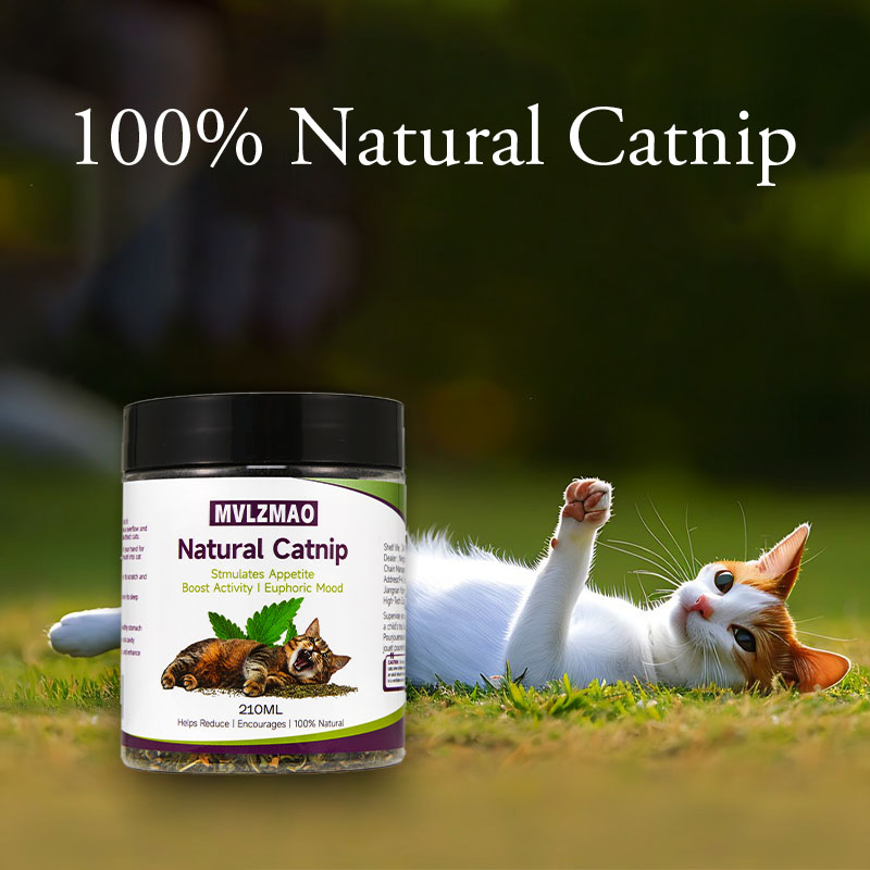 Cat Toys - Silvervine Catnip f - đánh giá và giá Nettle Leaf Tea