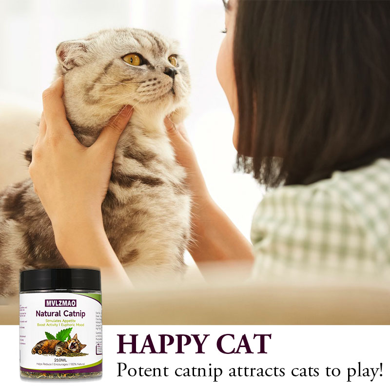Cat Toys - Silvervine Catnip f - đánh giá và giá Nettle Leaf Tea