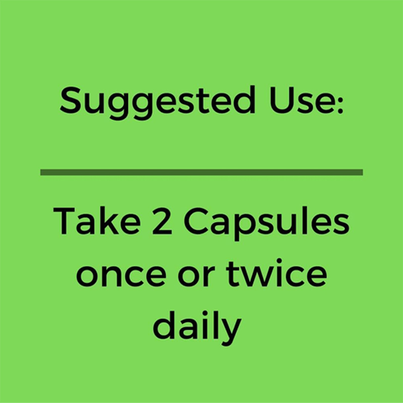 Organic Moringa Capsules 1000m - đánh giá và giá Moringa Leaf Powder