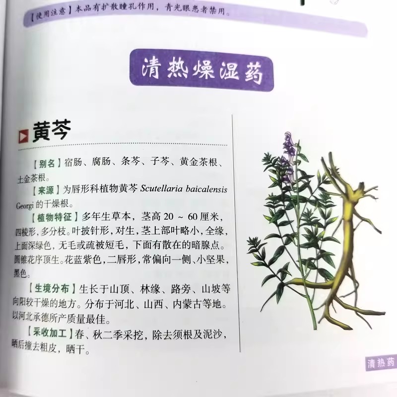 The Ancient Herbarium Holistic - đánh giá và giá Herbal Holistic Wellness